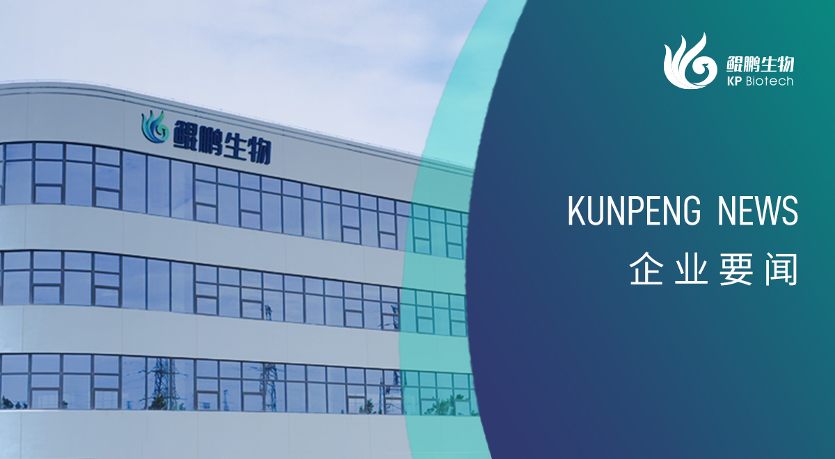 寧波鯤鵬新添兩項政府榮譽認(rèn)定 創(chuàng)新發(fā)展再獲認(rèn)可